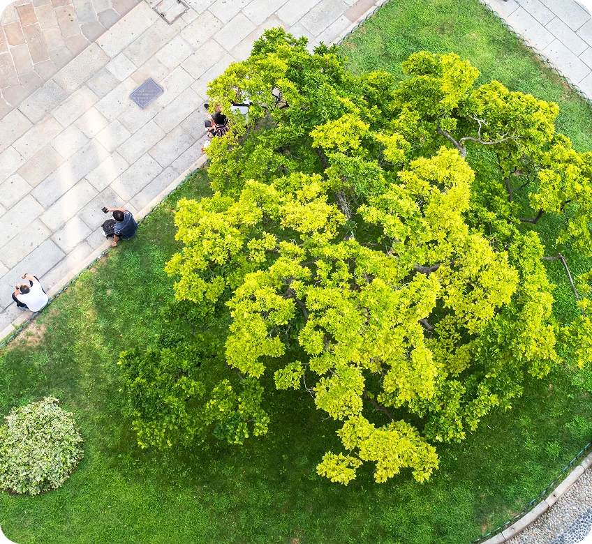 mpht-contesti-di-utilizzo17