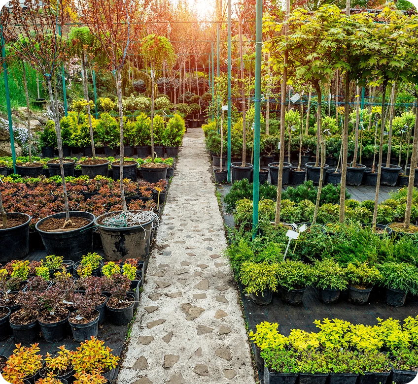 mpht-contesti-di-utilizzo20